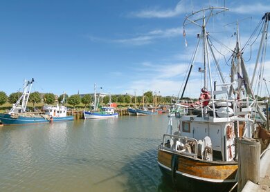 Hafen mit Fischerboten, Buesum an der Nordsee, Schleswig-Holstein | © Gettyimages.com/eurotravel