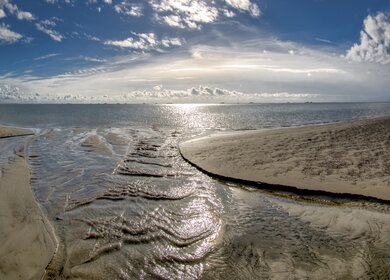 Wattenmeer | © Gettyimages.com/ Frank Wagner