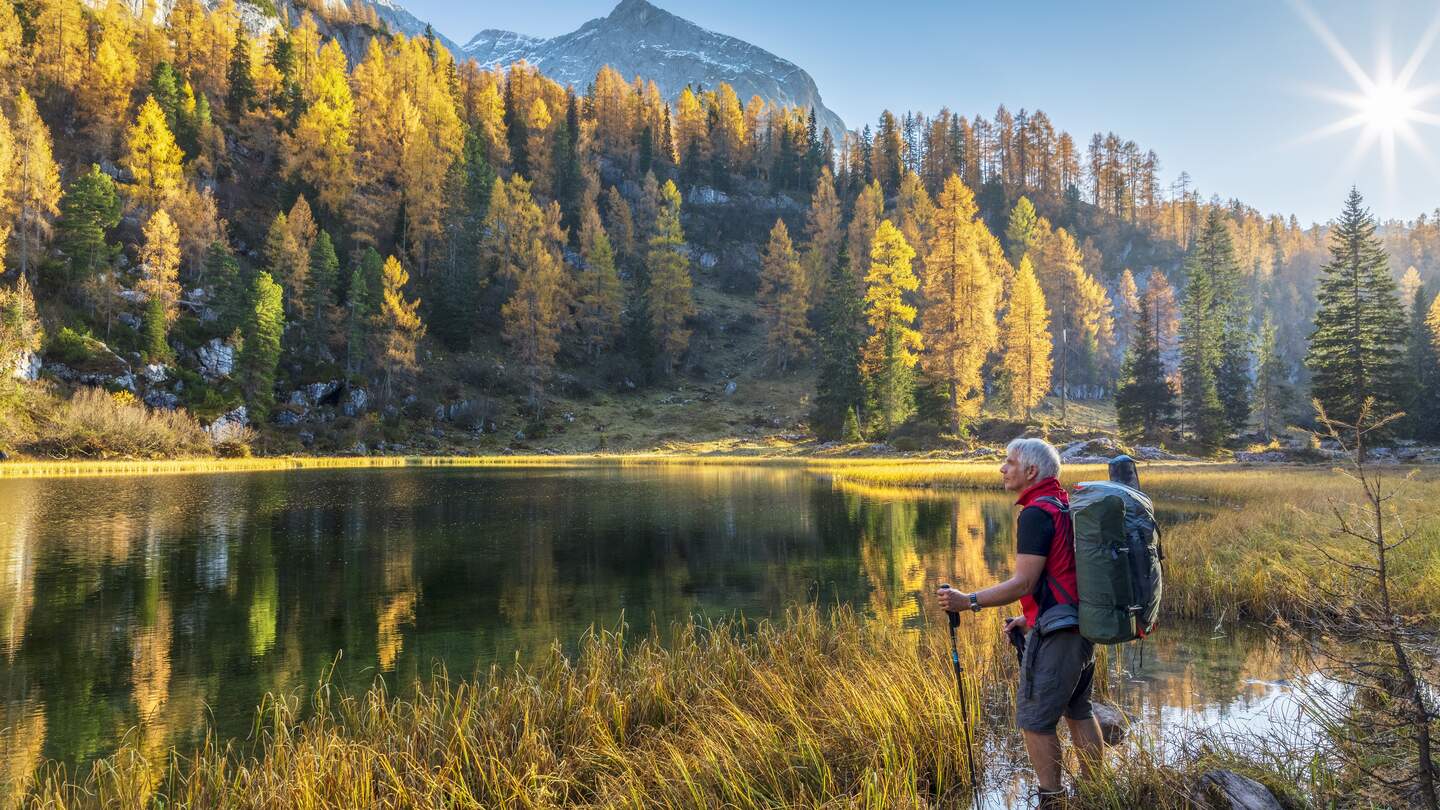 Wanderer am Koenigssee im Herbst mit goldfarbendem Wald und Sonnenschein | © Gettyimages.com/DieterMeyrl