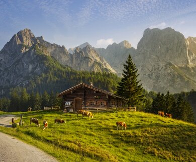 Idyllische Landschaft in den Alpen mit uriger Berghütte und frischen grünen Almen bei Sonnenaufgang | © Gettyimages.com/dietermeyrl