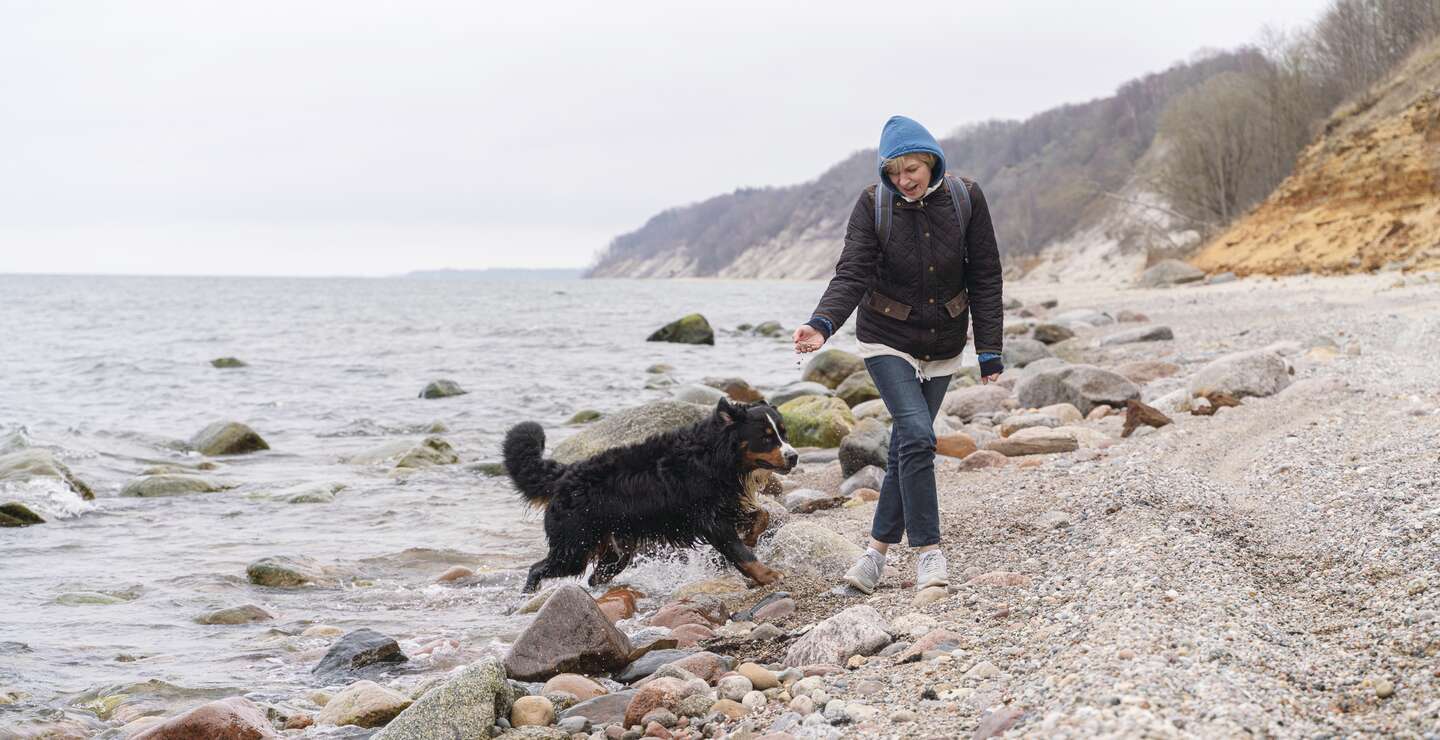 Die reife Frau geht im Winter mit ihrem belgischen Zennenhund an der felsigen und sandigen Kueste der Ostsee spazieren. | © Gettyimages.com/potemkin