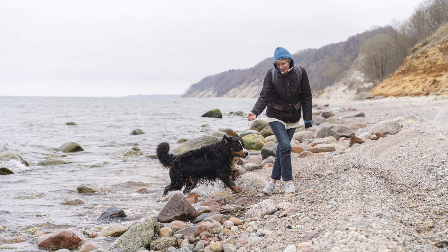 Die reife Frau geht im Winter mit ihrem belgischen Zennenhund an der felsigen und sandigen Kueste der Ostsee spazieren. | © Gettyimages.com/potemkin