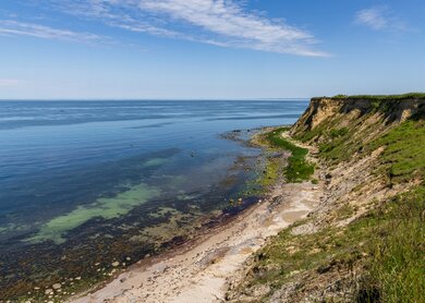 Die Ostseekueste mit den Klippen von Boltenhagen, Mecklenburg-Vorpommern, Deutschland | © Gettyimages.com/berndbrueggemann