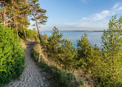 Wanderweg auf der Halbinsel Gnitz auf Usedom, limks das blaue meer | © Gettyimages.com/a-tom