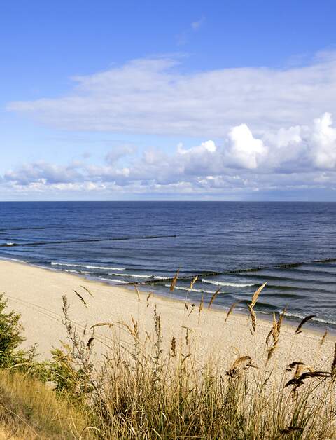 Horizontale Aufnahme eines leeren Strandes an der Ostsee im Morgenlicht | © gettyimages.com/MaRoPictures