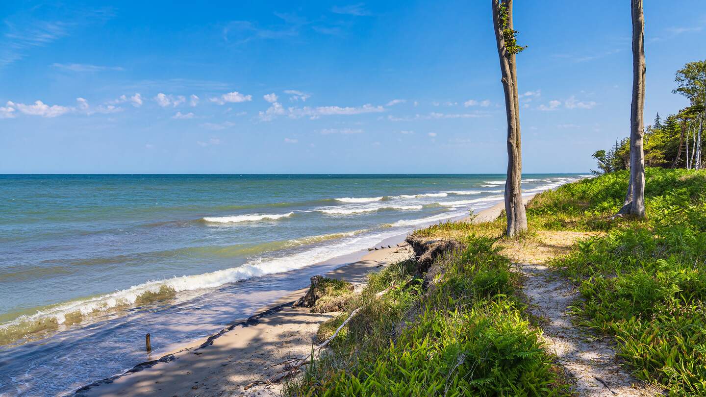 Strand an der Ostseekueste bei Rosenort im Naturschutzgebiet Rostocker Heide, Deutschland | © Gettyimages.com/RicoK69
