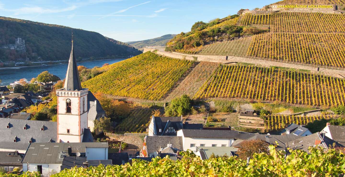 Blick auf Assmannshausen, einem Stadtteil von Ruedesheim am Rhein, mit Weinbergen und dem Rhein im Sonnenschein | © Gettyimages.com/Judith Engbers
