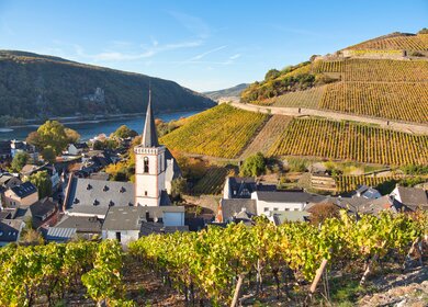 Blick auf Assmannshausen, einem Stadtteil von Ruedesheim am Rhein, mit Weinbergen und dem Rhein im Sonnenschein | © Gettyimages.com/Judith Engbers