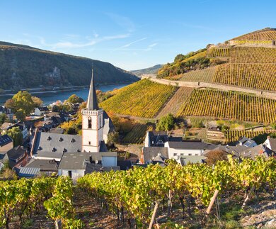 Blick auf Assmannshausen, einem Stadtteil von Ruedesheim am Rhein, mit Weinbergen und dem Rhein im Sonnenschein | © Gettyimages.com/Judith Engbers