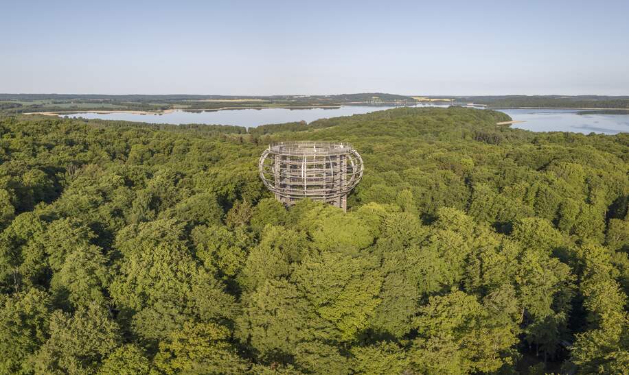 Blick von oben auf den Baumwipfelpfad in Binz auf Ruegen | © Gettyimages.com/Iurii Buriak