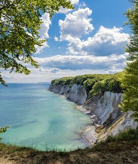 Kreidefelsen von Ruegen im Sommer | © Gettyimages.com/RicoK69