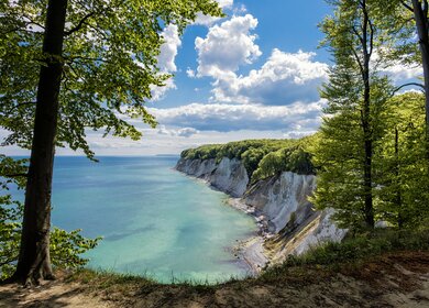 Kreidefelsen von Ruegen im Sommer | © Gettyimages.com/RicoK69