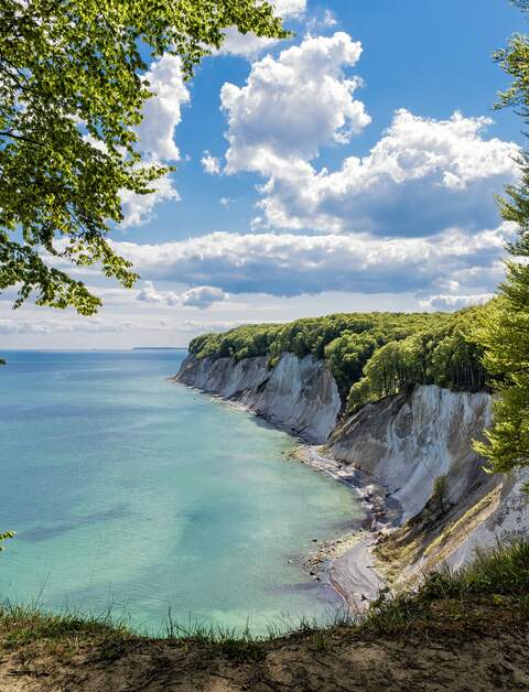 Kreidefelsen von Ruegen im Sommer | © Gettyimages.com/RicoK69