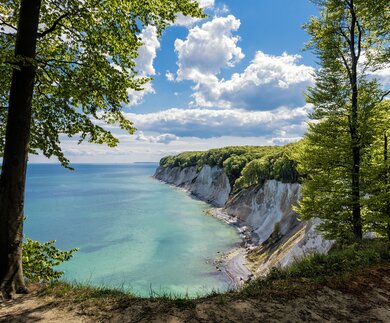Kreidefelsen von Ruegen im Sommer | © Gettyimages.com/RicoK69
