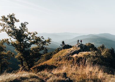 Junges Paar mit dem Rucksack auf einen Berggipfe ueber dem Schwarzwald, Baden-Wuerttemberg | © Gettyimages.com/AscentXmedia