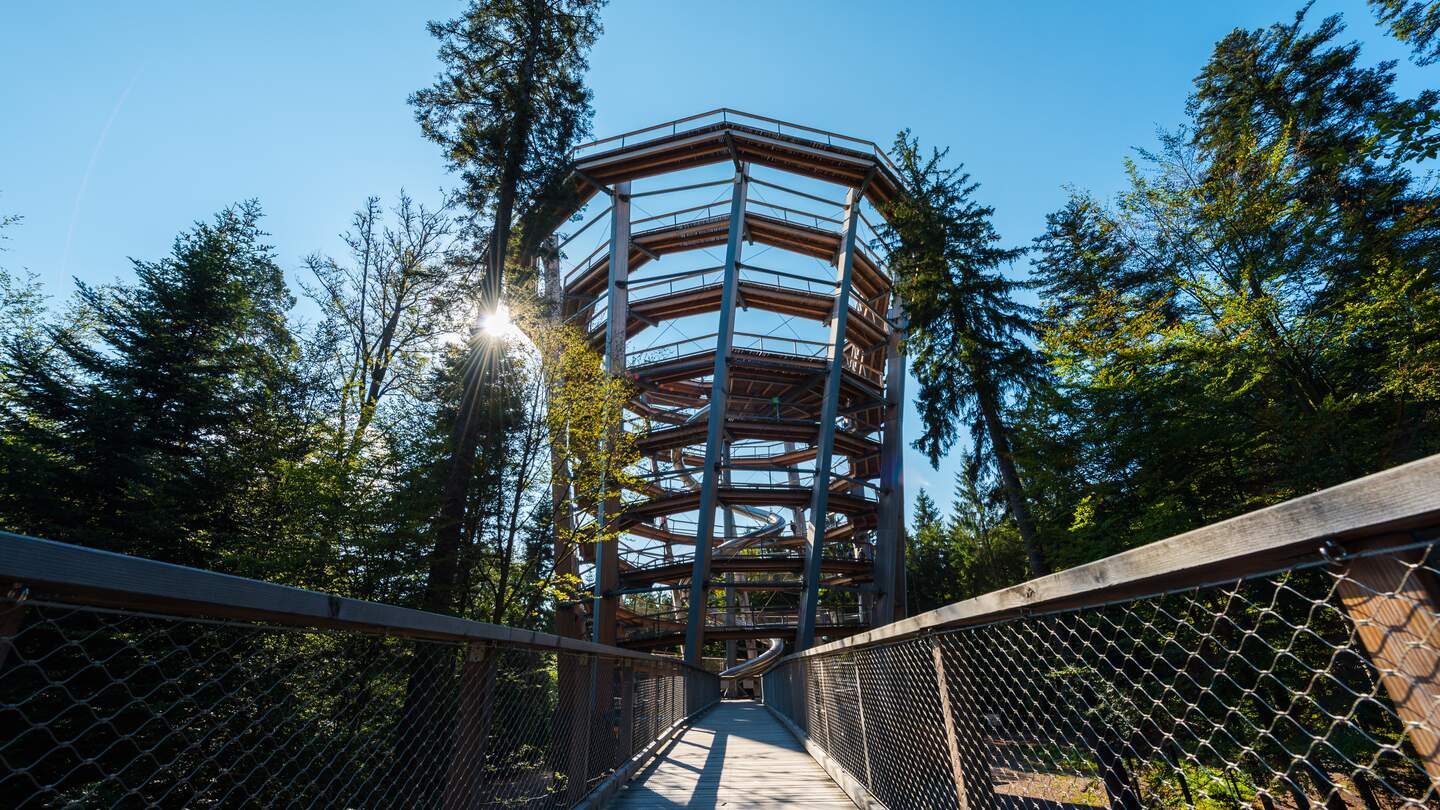 Baumwipfelpfad mit Aussichtsturm | © Gettyimages.com/no_limit_pictures