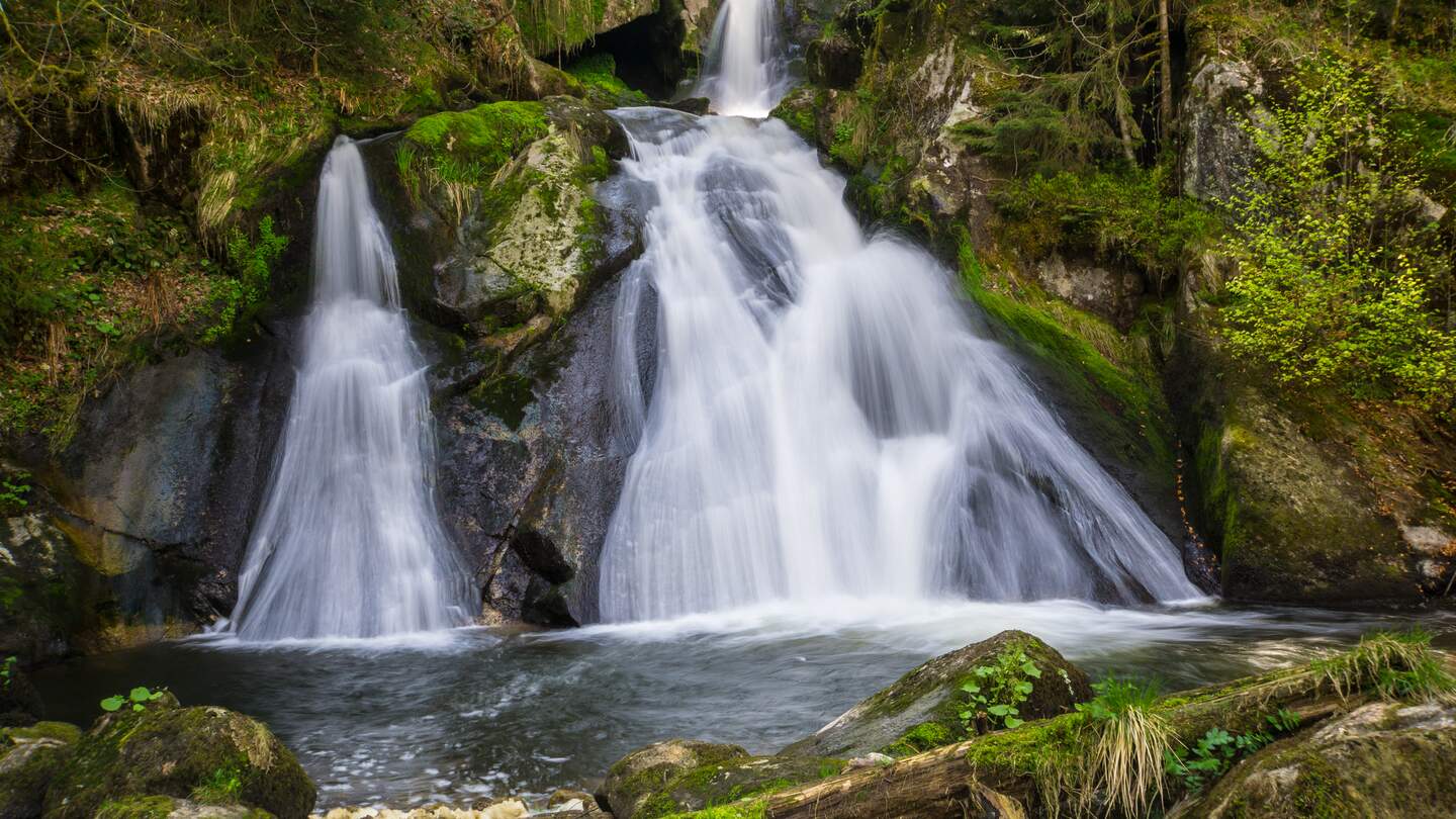 zwei parallele Wasserfälle und zwei Terrassen der Triberger Wasserfaelle  | © Gettyimages.com/simondux