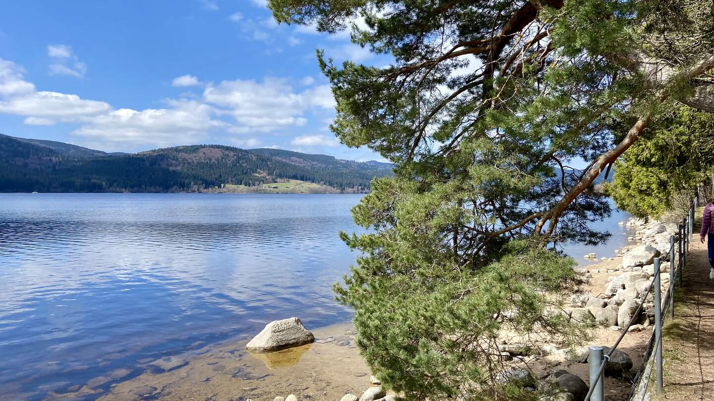 Fruehlingstag im Schwarzwald auf dem Fussgaengerweg entlang des Schluchsee | © Gettyimages.com/MDoculus