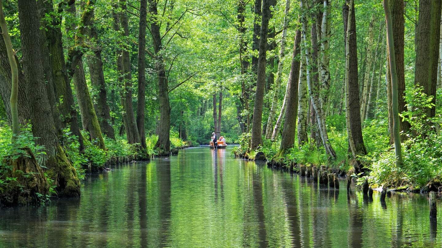 Spreewald-Wasserkanal mit Boot in der Ferne in Brandenburg | © Gettyimages.com/LianeM