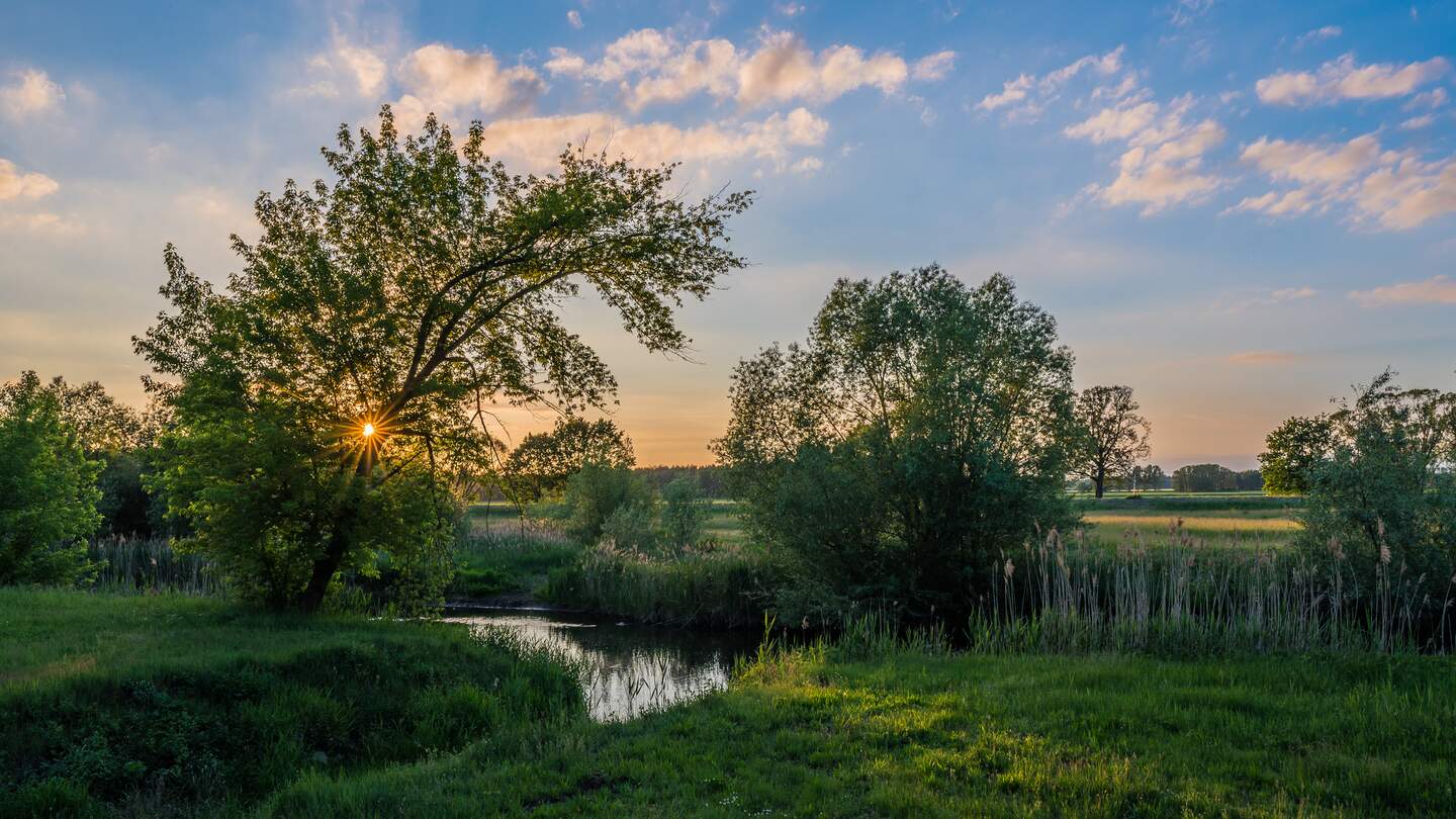 Sonnenuntergang auf einem natuerlichen Fluss in einer ländlichen Gegend, dem Spreewald in Brandenburg | © Gettyimages.com/petraschneider