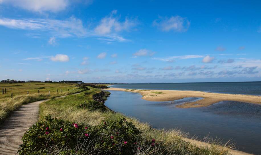 Abgeblidet ist ein Steg im Gruenen, rechts ist das Meer | © Getty.images.com/annefritzenwanker
