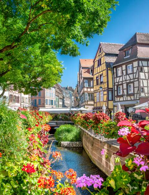 Altstadt von Colmar mit Blick auf den Fluss Lauch und Blumen im Vordergrund | © Gettyimages.com/adisa