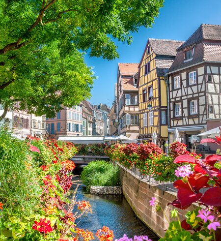 Altstadt von Colmar mit Blick auf den Fluss Lauch und Blumen im Vordergrund | © Gettyimages.com/adisa