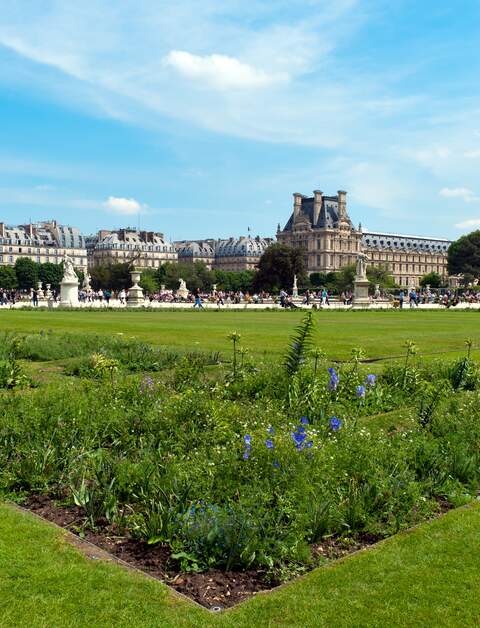 Die Tuileriengärten in Paris mit dem Louvre im Hintergrund | © Gettyimages.com/ballycroy