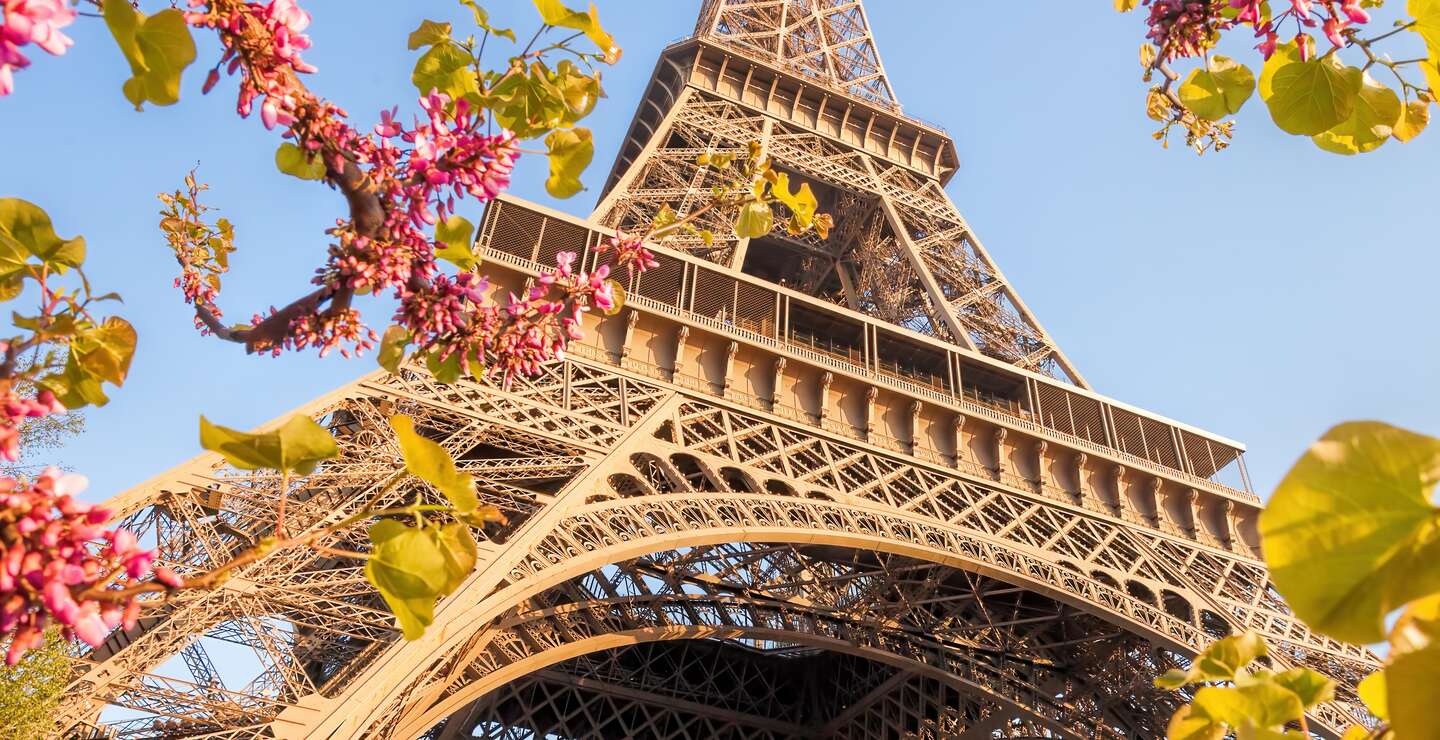 Der Eifelturm in Paris im Frühling bei blauem Himmel mit Kirschblüten an einem Baum im Vordergrund | © GettyImages.com/extravagantni