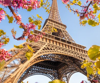 Der Eifelturm in Paris im Frühling bei blauem Himmel mit Kirschblüten an einem Baum im Vordergrund | © GettyImages.com/extravagantni
