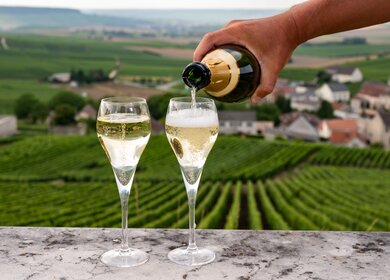Verkostung von Brut und Demi-Sec Weißchampagner-Sekt aus speziellen Flötengläsern mit Champagner-Weinbergen | © Gettyimages.com/barmalini