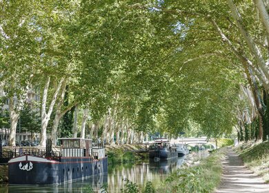 Spätfrühlingsblick auf den Canal du Midi in Toulouse | © Gettyimages.com/alainfinger