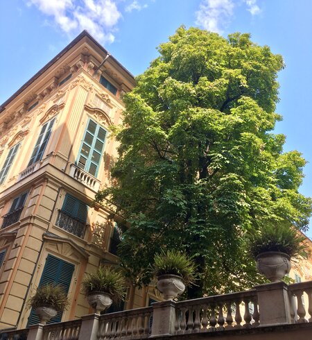 Charmante Innenstadt der ligurischen Küstenstadt Genua | © Wienhusen