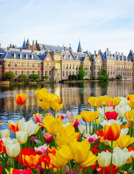 Niederlaendische Parlament mit Tulpen im Vordergrund, Den Haag | © Gettyimages.com/neirfy