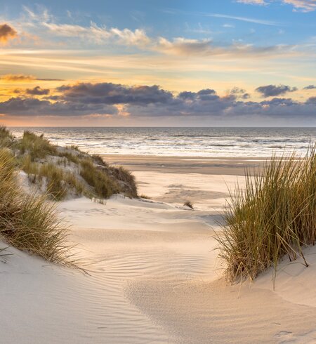 Blick von der Dünenspitze ueber die Nordsee, Den Haag | © Gettyimages.com/CreativeNature_nl