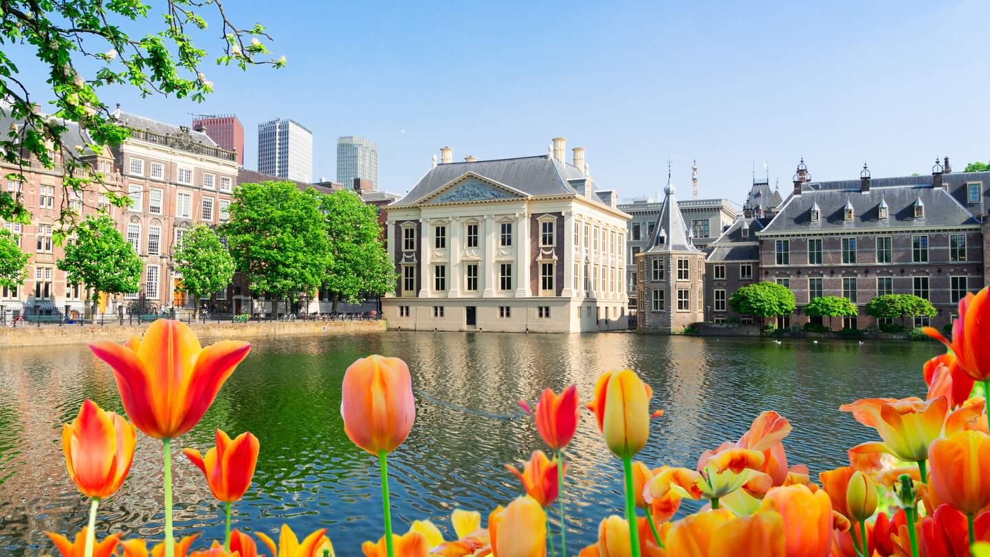 Stadtzentrum von Den Haag mit bluehenden orangenen Tulpen | © Gettyimages.com/neirfy