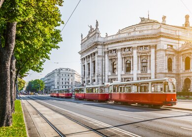 Wiener Ringstrasse, Burgtheater und Strassenbahn bei Sonnenaufgang | © Gettyimages.com/bluejayphoto