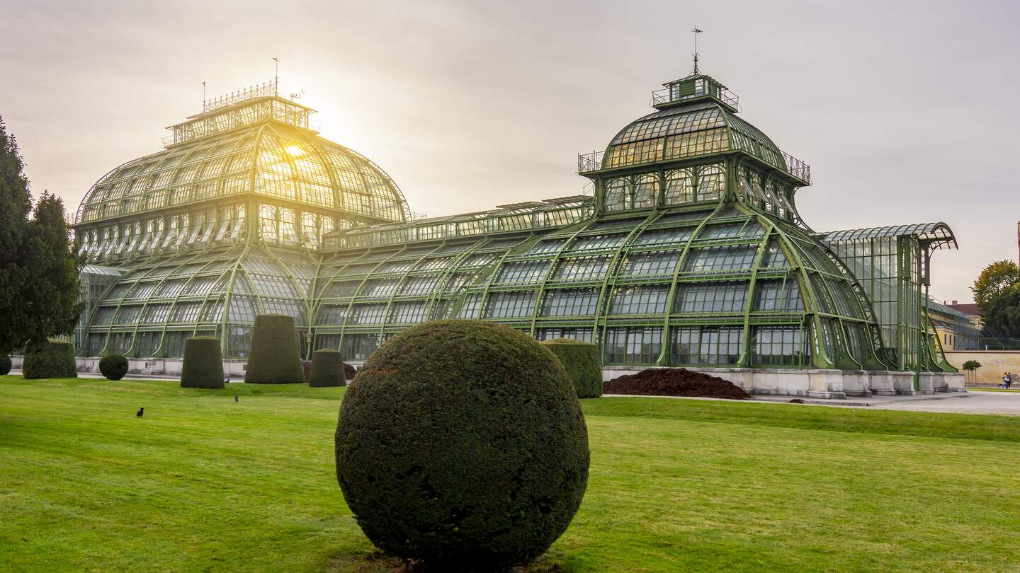 Glaeesernes Palmenhaus in Wien im Schoenbrunner Park | © Gettyimages.com/Vladislav Zolotov