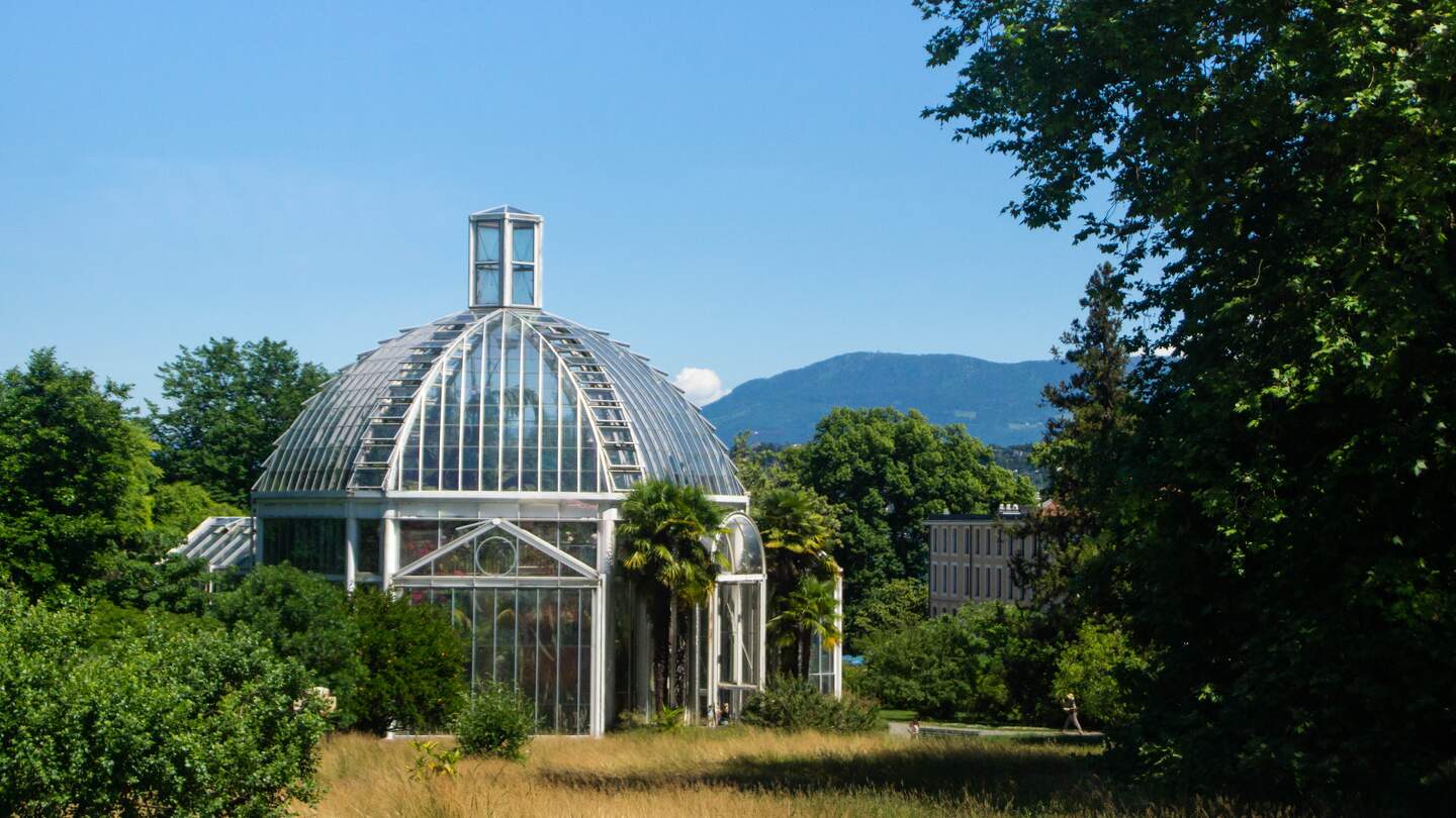 Gewaechshaus des Genfer Botanischen Gartens im Sommer | © Gettyimages.com/Natalia Silyanov