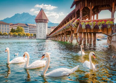 Schweiz_luzern_see | © © bluejayphoto