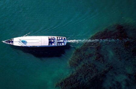  eine weiße Boot, das durch blau-gruenes Wasser faehrt und eine Spur hinter sich laesst | ©  Gettyimages.com/Michael Hausmann