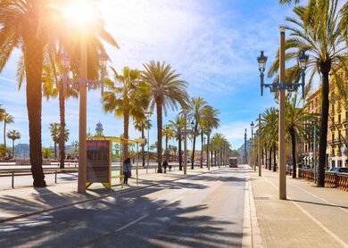 Strasse fuer oeffentliche Verkehrsmittel und Palmenallee. Sonniger Sommertag. Staedtische Strassenlandschaft mit Busbahnhof. | © gettyimages.com/Yasonya