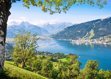 Zell am See mit Blick durch Baeume | ©  Gettyimages.com/bluejayphoto
