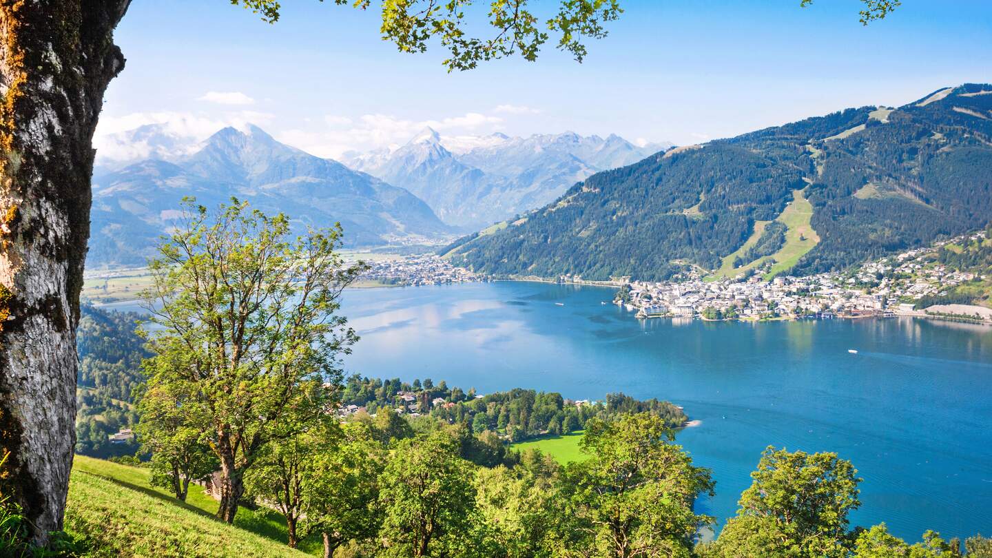 Zell am See mit Blick durch Baeume | ©  Gettyimages.com/bluejayphoto
