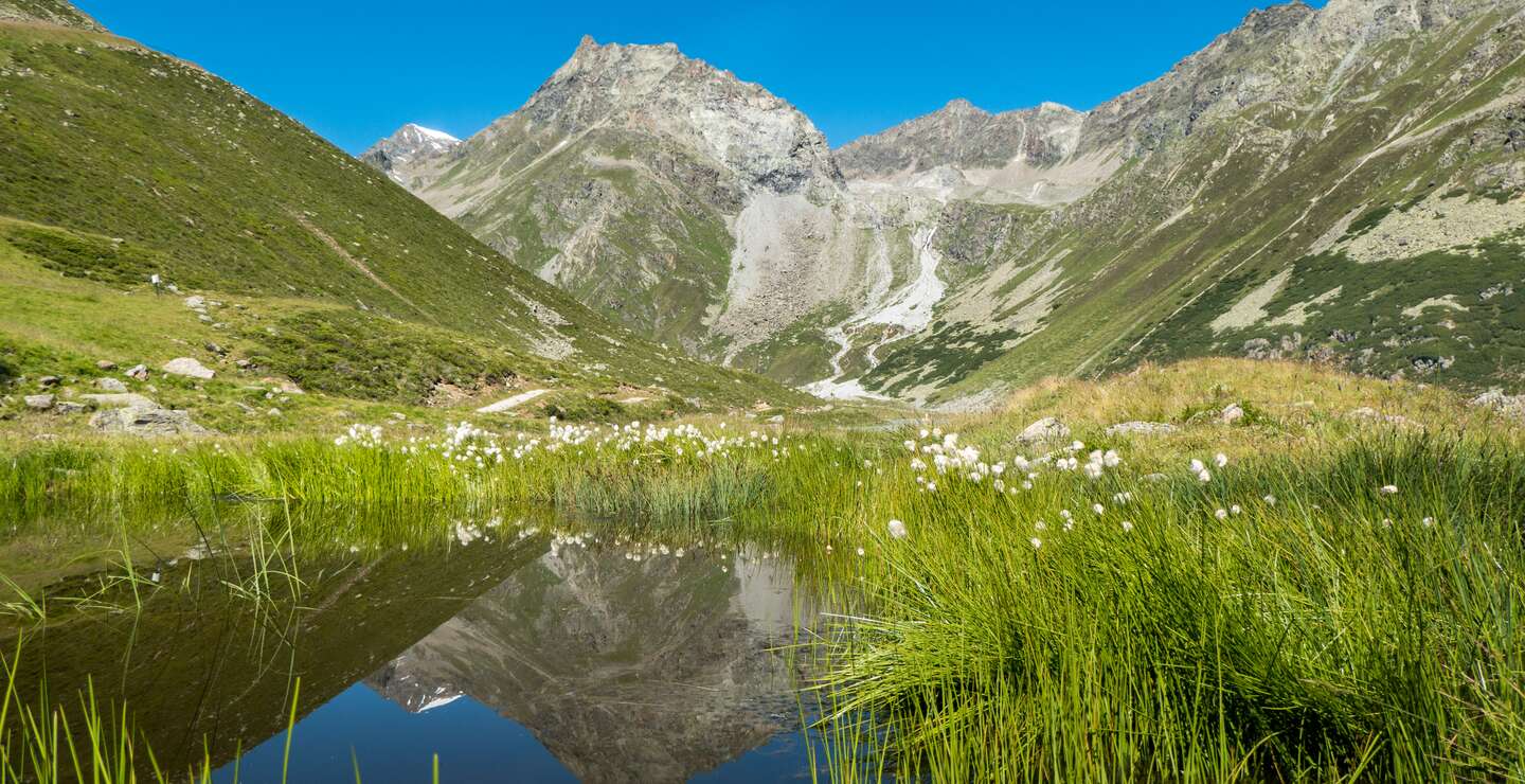 Schoene Hochgebirgslandschaft mit dem Rifflsee im Pitztal bei Sonnenschein und mit saftigen gruenen Wiesen | © Gerttyimages.com/jacquesvandinteren