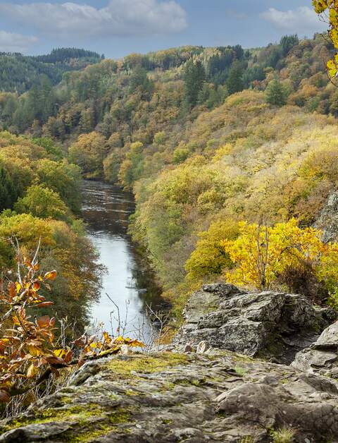 Klippe in Le Herou in der Nähe des Flusses Ourthe im Wald der Ardennen in Wallonien, Belgien | © Gettyimages.com/FrankyDeMeyer