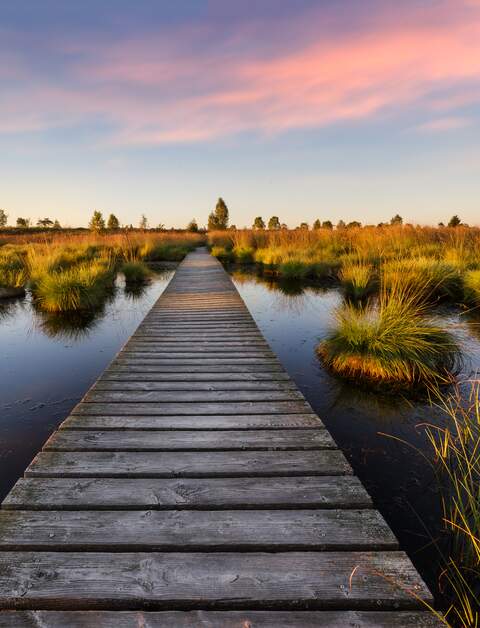Sonnenuntergang über dem See in den hohen Mooren, Belgien | © Gettyimages.com/caputolaurent