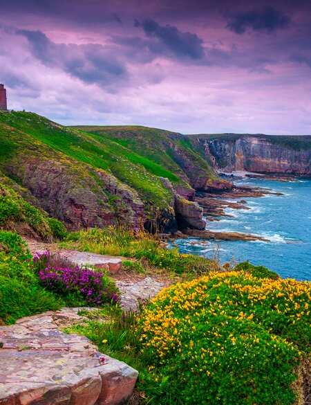 Wunderschöne felsige und blumige Küste mit Leuchtturm, Cap Frehel, Frankreich | © Gettyimages.com/janoka82