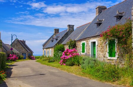 Blick auf ein bretonisches Steinhaus mit blühenden rosanen Hortensien | © gettyimages.com/	LianeM