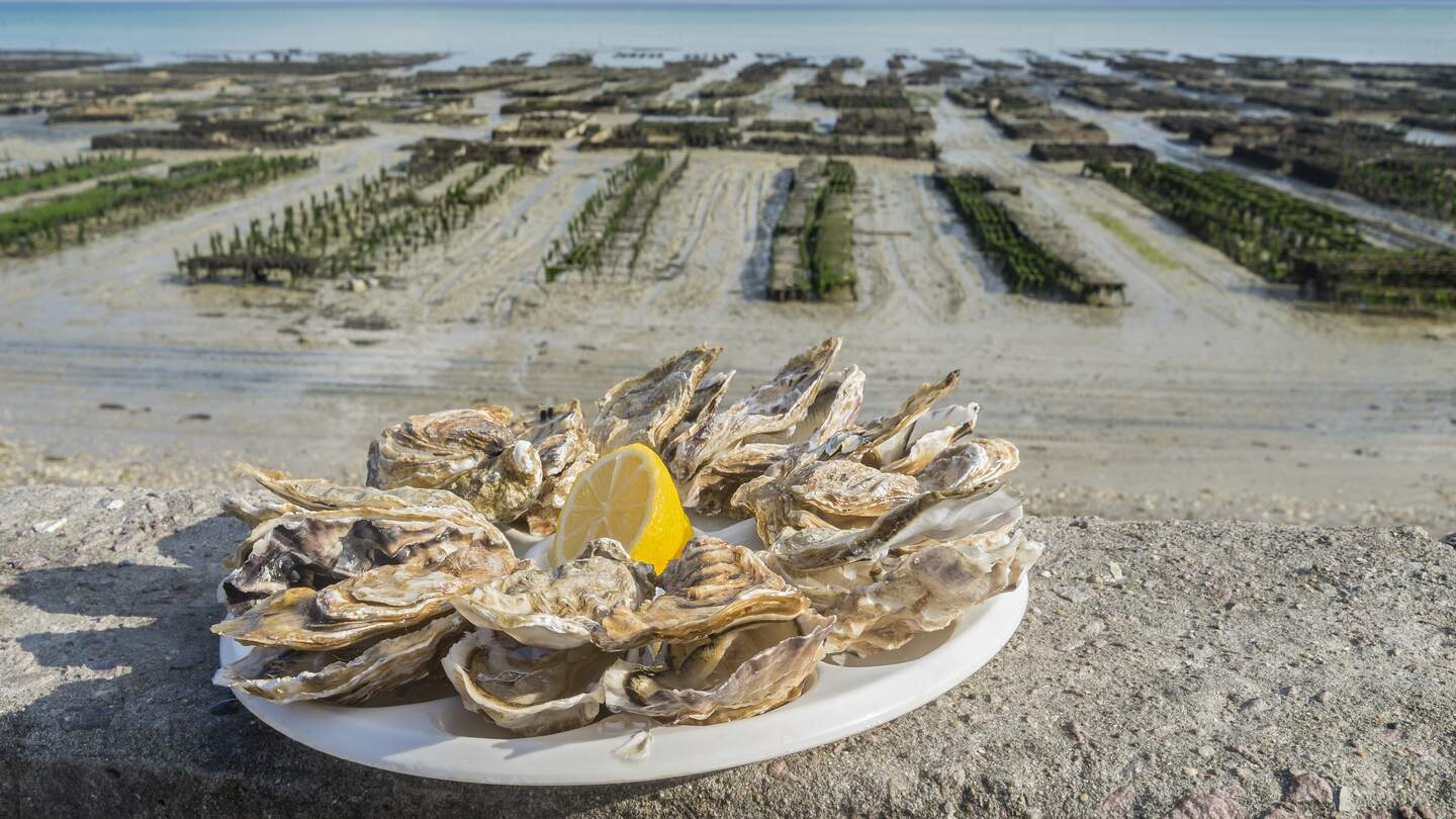 Ein Teller voll mit frischen Austern und mit Blick auf die Landschaft und das Meer in dem bretonischen Ort Cancale | © frische Austern im bretonischen Ort Cancale